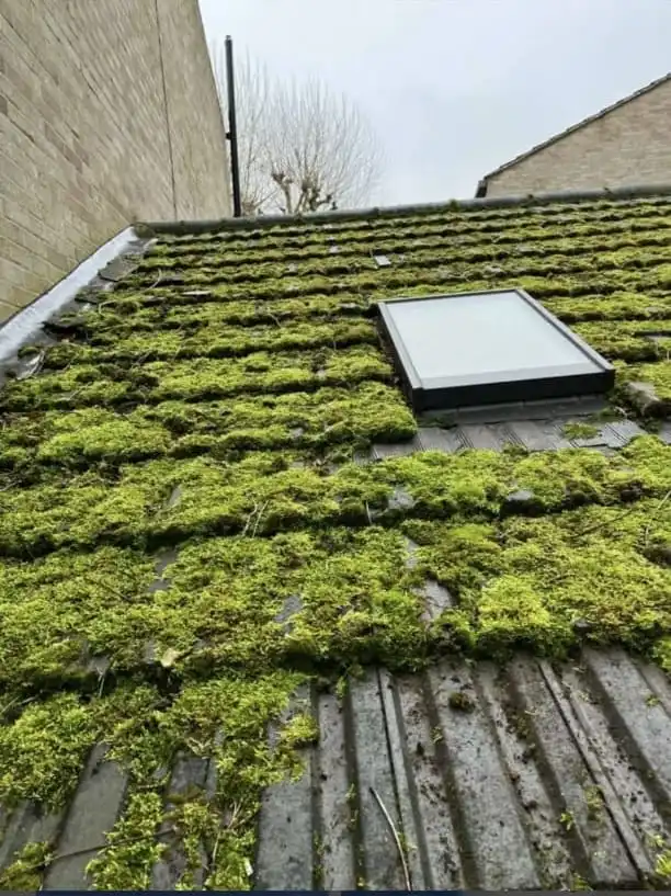 Professional moss removal service in London, with expert roof cleaners safely removing moss and debris to protect and extend roof lifespan for residential and commercial properties.